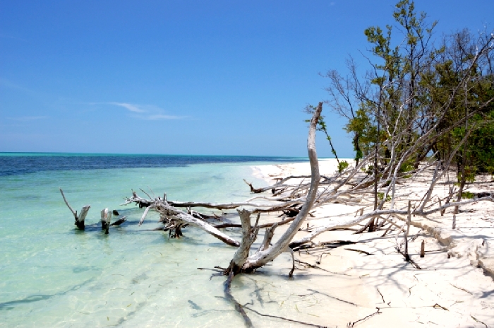 cayo levisa